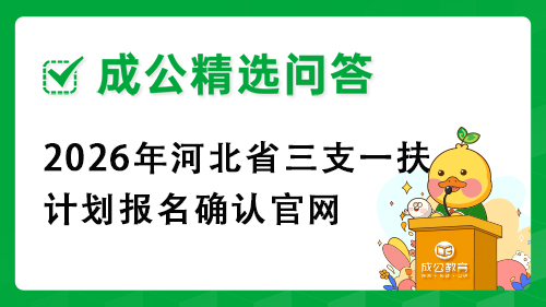 2026年河北省三支一扶计划报名确认官网